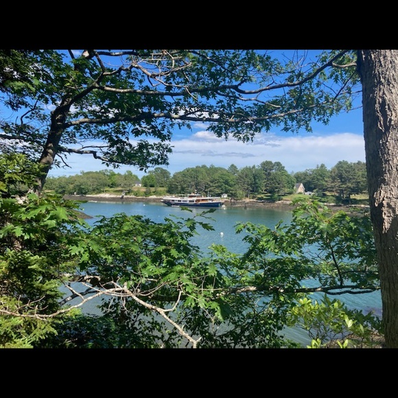 Meet your Posher, Amy - Picture 2 of 2